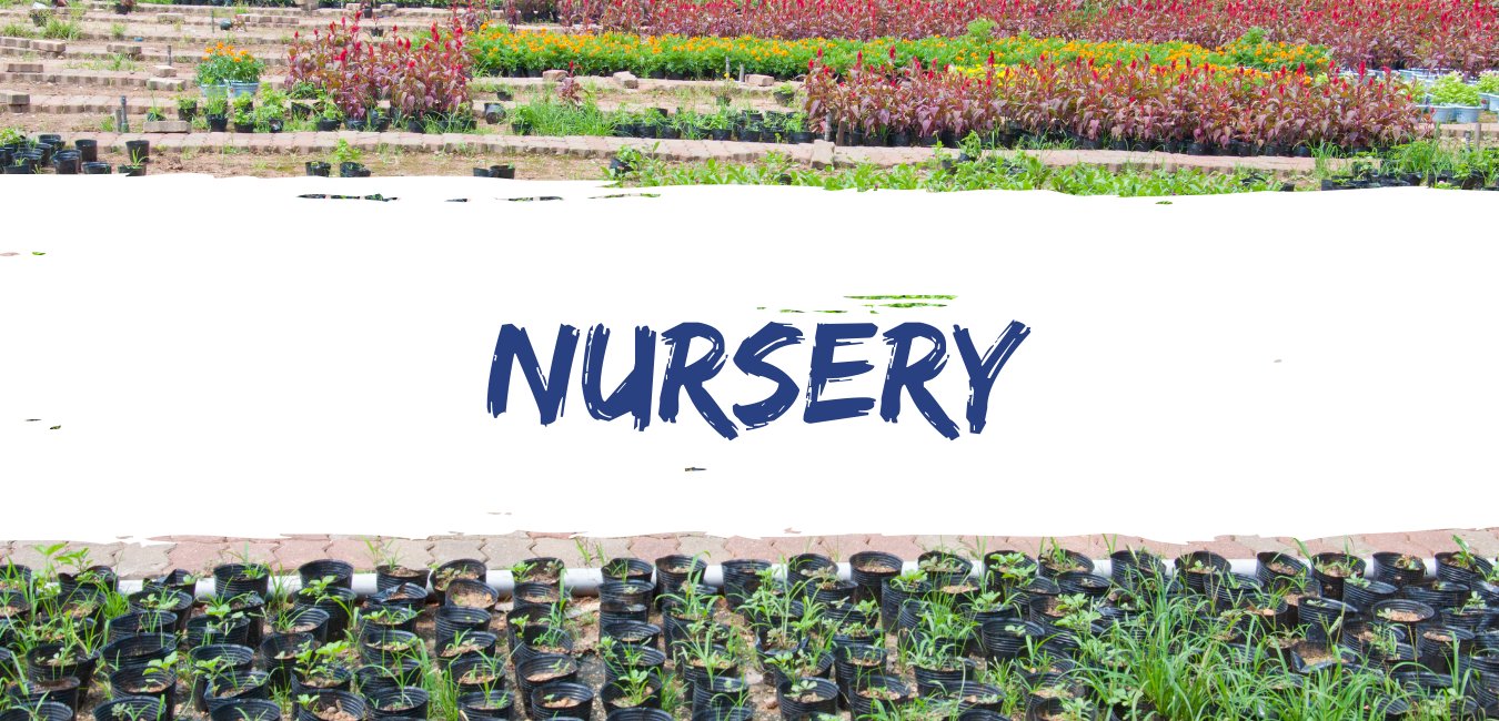 Nursery