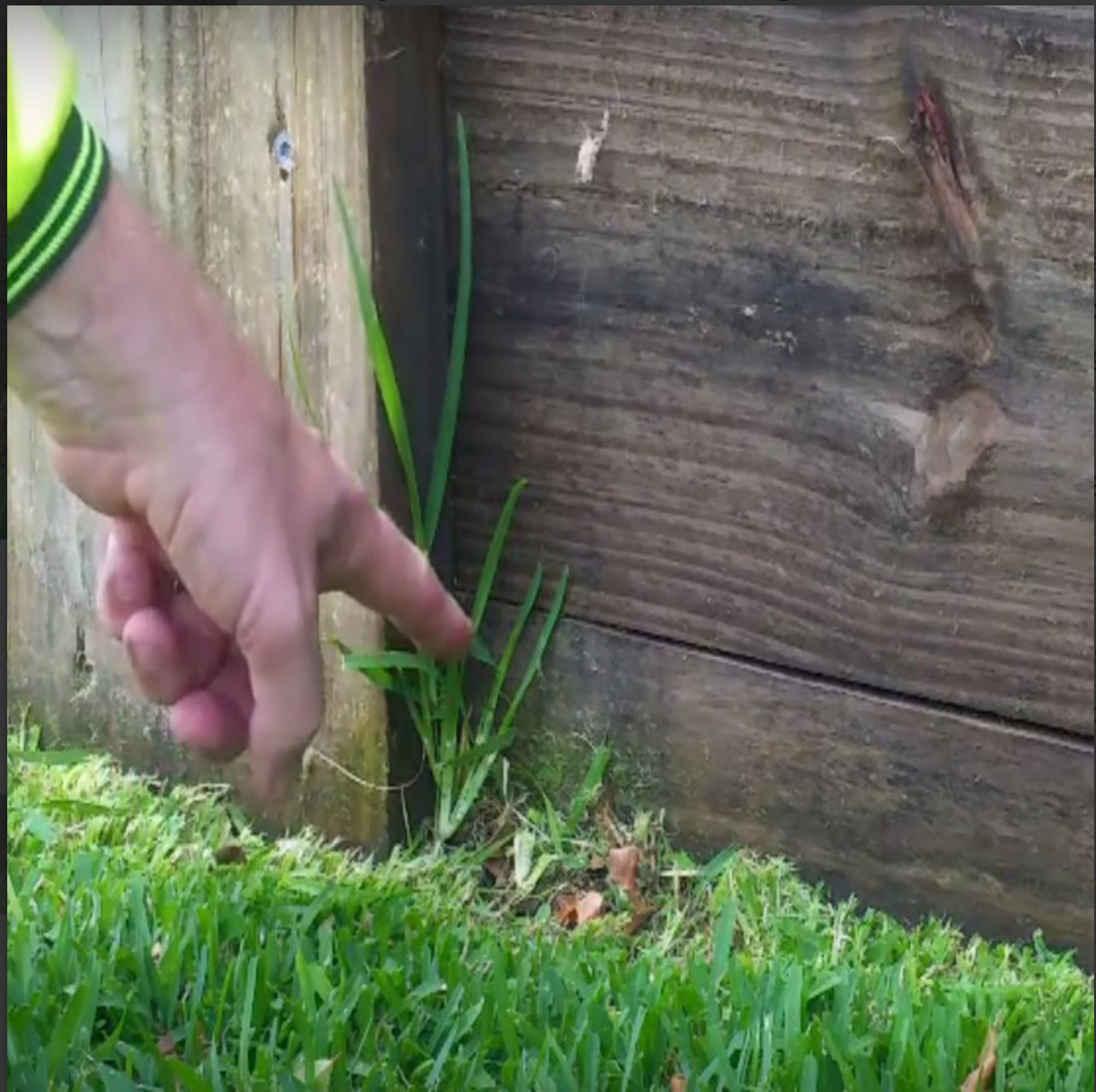 EzySNIP Garden Tool for Perfectly Trimmed Garden Lawns