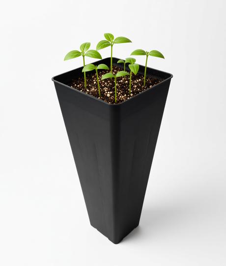 50mm Native Tube 50mm (W) x 50mm (D) x 120mm (H)